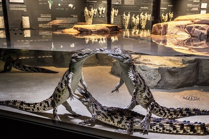 Dubai Crocodile Park Tour with Pickup — Nile Crocodiles, Walkways & Gardens photo 2