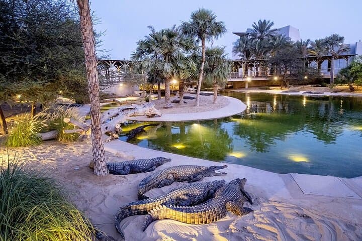 Dubai Crocodile Park Tour with Pickup — Nile Crocodiles, Walkways & Gardens photo 3