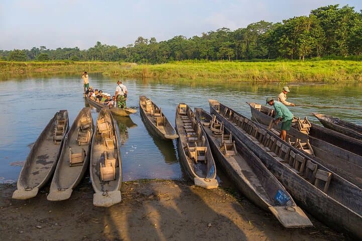 Chitwan Combo: Jeep Safari, Canoe Trip & Guided Jungle Walk