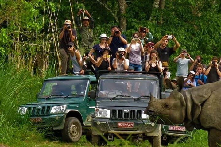 Private Jeep Safari in Chitwan: See One-Horned Rhinos and Rich Birdlife