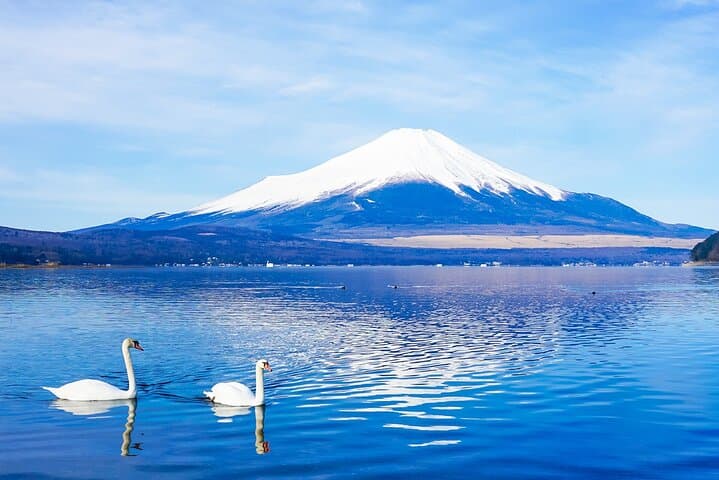 Full-Day Mt. Fuji, Lake Kawaguchi & Yamanaka Tour with Onsen and Swan Boat photo 2