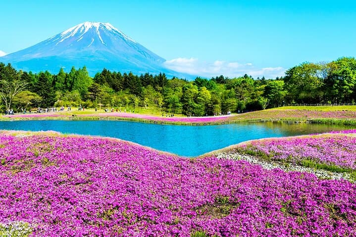 Full-Day Mt Fuji 5th Station, Oshino Hakkai & Onsen Tour from Tokyo photo 2