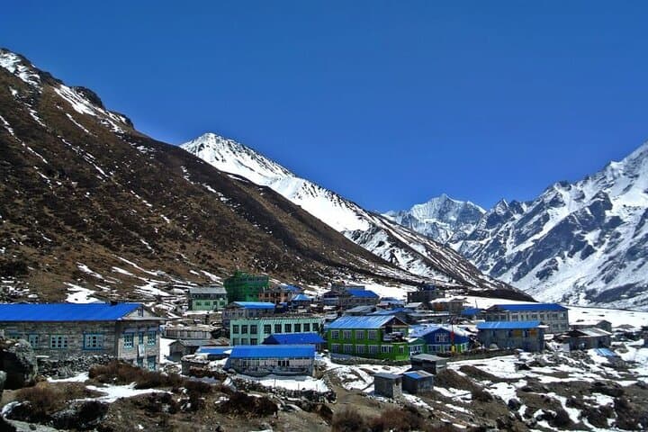 Six-Day Langtang Valley Trek from Kathmandu — Kyanjin Gompa & Tamang Villages photo 6