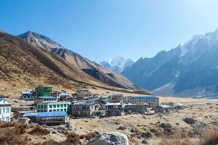 Six-Day Langtang Valley Trek from Kathmandu — Kyanjin Gompa & Tamang Villages