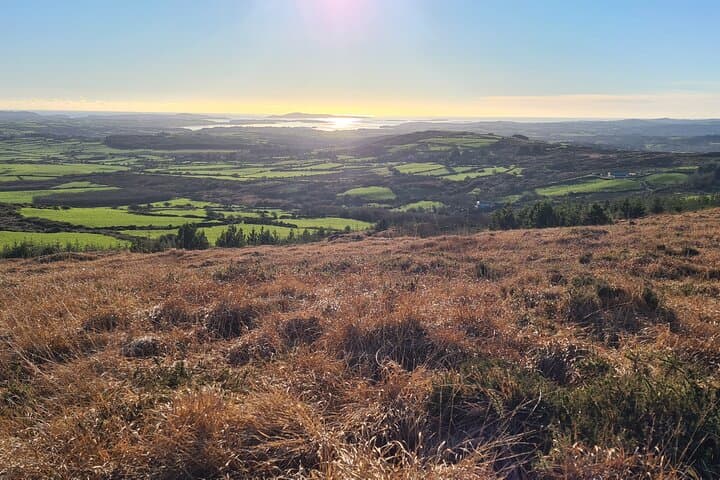 Quiet Thinking Trails in West Cork: Guided Mindful Walks Through Biodiverse Parkland