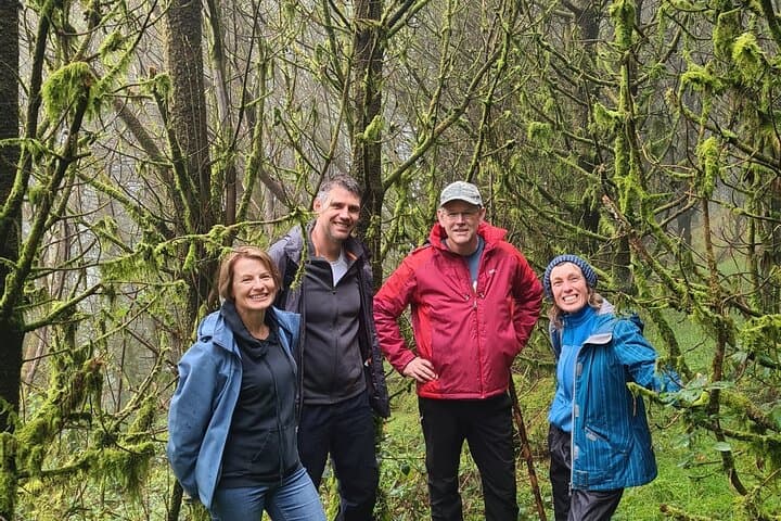 Quiet Thinking Trails in West Cork: Guided Mindful Walks Through Biodiverse Parkland photo 4