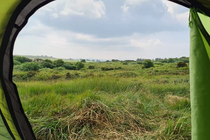 Quiet Thinking Trails in West Cork: Guided Mindful Walks Through Biodiverse Parkland photo 5