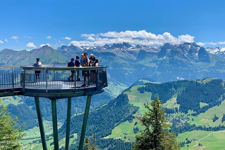 Stanserhorn Cabrio Cable Car: Private Day Tour from Lucerne photo 3