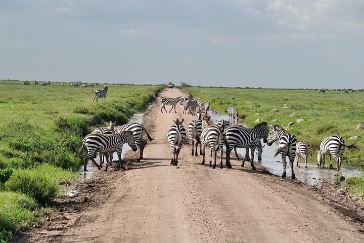 2-Day Tarangire and Ngorongoro Crater Safari from Arusha photo 1