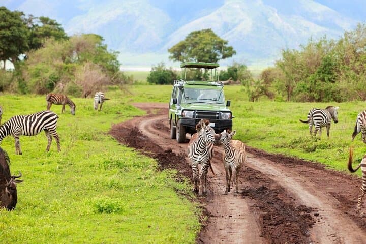 2-Day Tarangire and Ngorongoro Crater Safari from Arusha photo 2