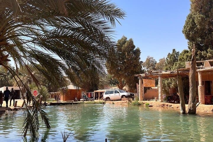 Private 4x4 Day Trip to Ksar Ghilane Oasis photo 5