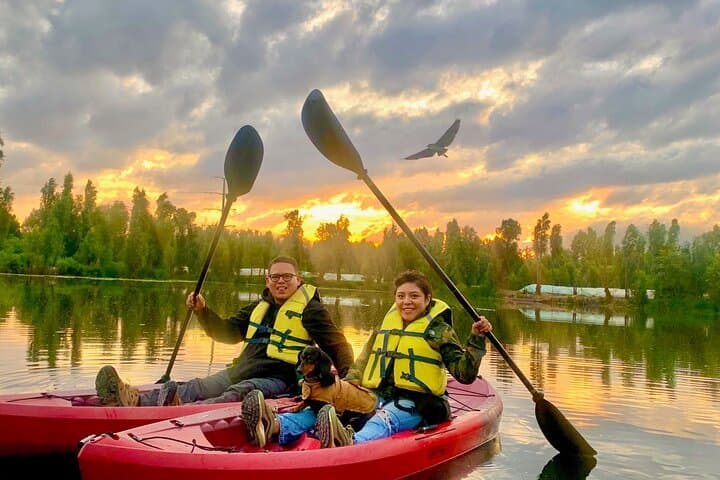 Sunrise Kayak Tour in Xochimilco Canals: Paddle Through Chinampas & Isla de las Muñecas