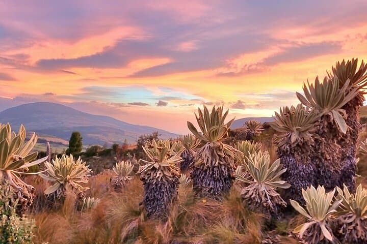 Traversing Ecuador: Quito, Amazon, Cotopaxi & Quilotoa in 12 Days photo 2