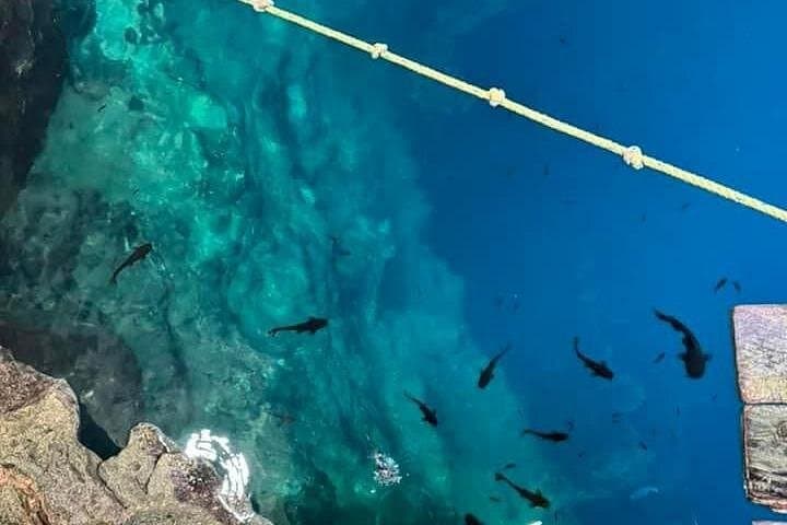 Private 2-Day Aguas Rosas & Cenotes Tour: Pink Waters, Cenote Swimming & Boat Excursion photo 4