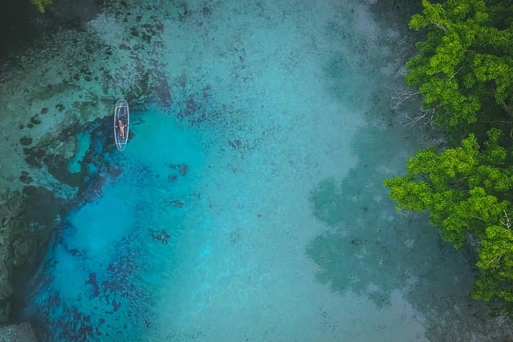 Gilchrist Blue Springs Glass-Bottom Kayak Tour — 2-Hour Guided Eco Paddle photo 2