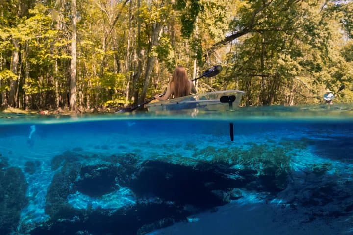 Gilchrist Blue Springs Glass-Bottom Kayak Tour — 2-Hour Guided Eco Paddle photo 5