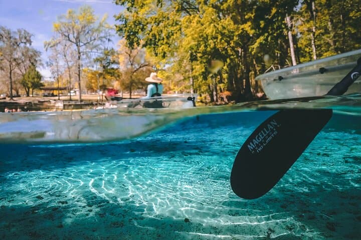 Gilchrist Blue Springs Glass-Bottom Kayak Tour — 2-Hour Guided Eco Paddle photo 4