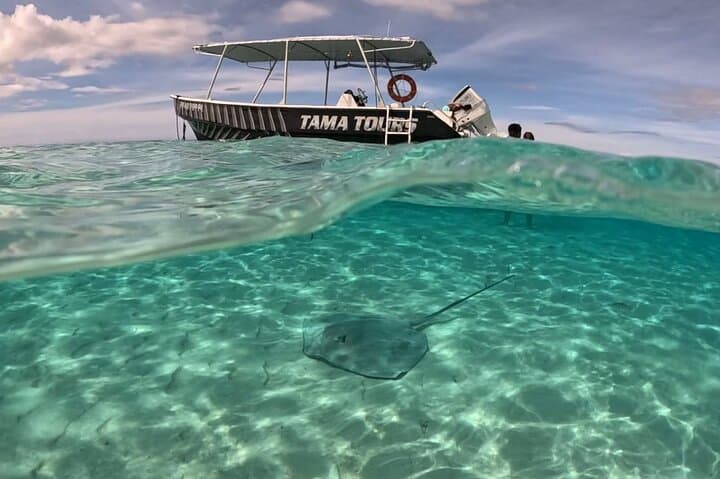 Moorea Lagoon Exploration and Snorkeling with Stingrays, Sharks and Turtles