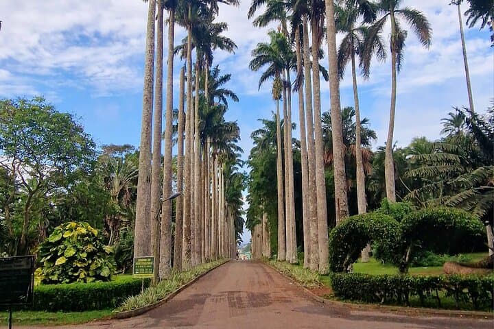 Aburi Botanical Gardens, Boti Falls & Cocoa Farm Day Tour from Accra