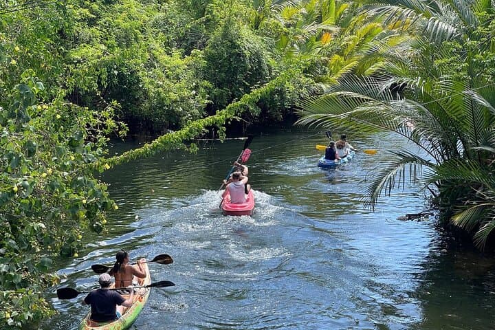 Sunset Kayak Through Kampot's Green Cathedral — Scenic Paddle & Swim