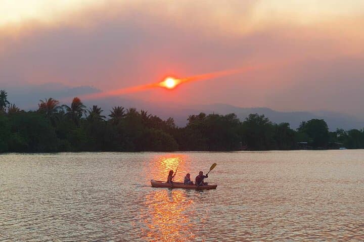 Sunset Kayak Through Kampot's Green Cathedral — Scenic Paddle & Swim photo 4