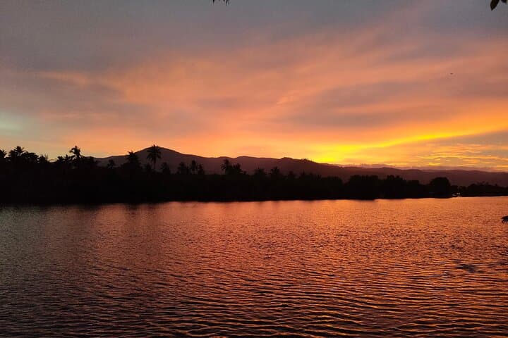 Sunset Kayak Through Kampot's Green Cathedral — Scenic Paddle & Swim photo 5
