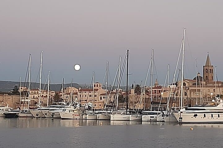 Sunset Catamaran Aperitif in Alghero — Sail, Swim & SUP at Maddalenetta photo 3