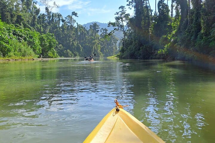 Puerto Princesa Babuyan River Kayak + Seaplane Transfer — Day Adventure in Palawan photo 3