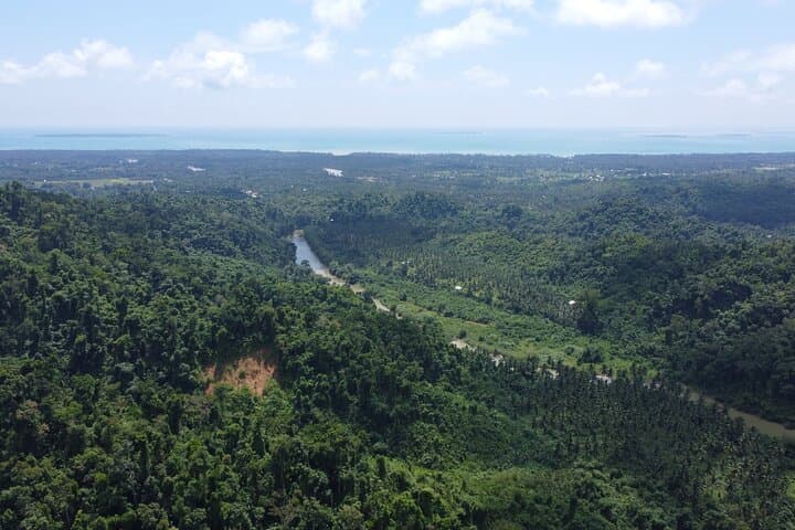 Puerto Princesa Babuyan River Kayak + Seaplane Transfer — Day Adventure in Palawan photo 5