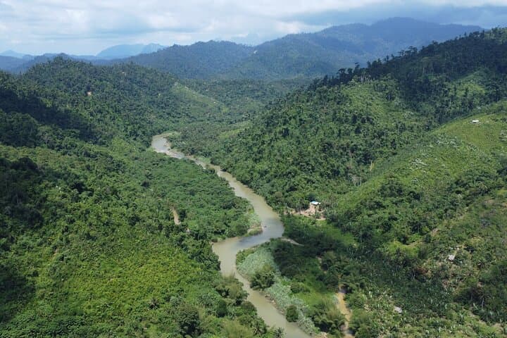 Puerto Princesa Babuyan River Kayak + Seaplane Transfer — Day Adventure in Palawan photo 6