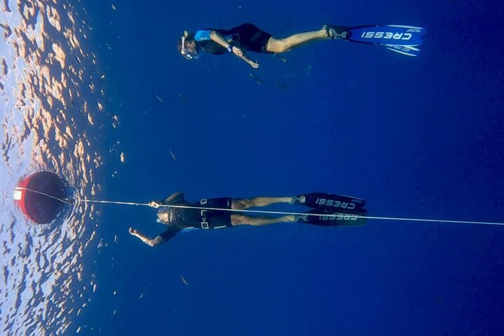 3-Hour Freediving in Menorca's North Marine Reserve photo 2