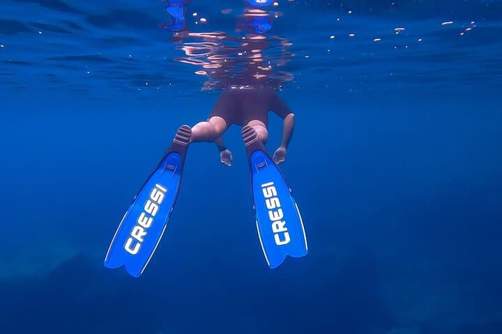 3-Hour Freediving in Menorca's North Marine Reserve photo 3