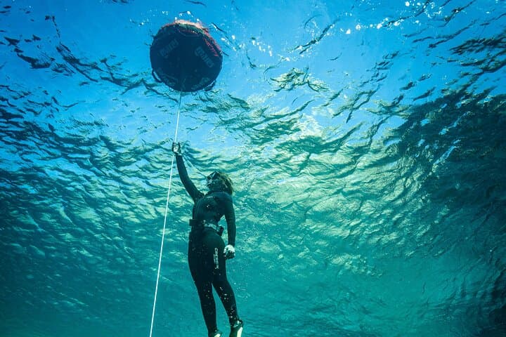 3-Hour Freediving in Menorca's North Marine Reserve photo 6