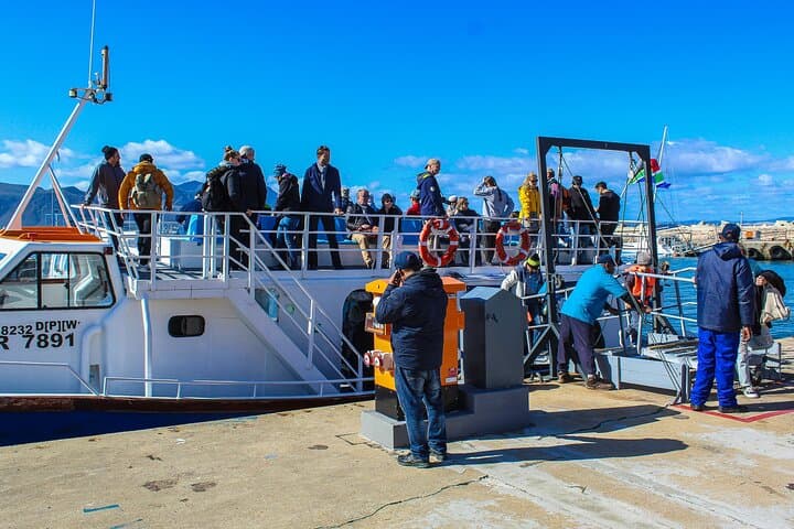 Whale Watching from Cape Town: Hermanus Penguins & Wine Day Trip
