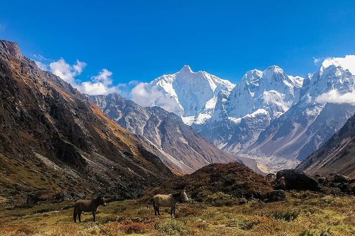 Kanchenjunga Circuit Trek: 23-Day Remote Himalayan Journey from Kathmandu photo 4