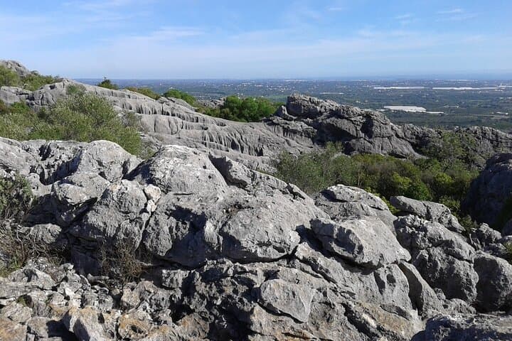 Algarve Summer Night Hike: Moonlit Trails & Stargazing at Cerro da Cabeca photo 4