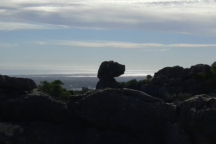 Algarve Summer Night Hike: Moonlit Trails & Stargazing at Cerro da Cabeca photo 5
