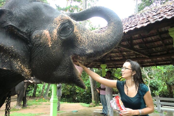 Round Up Sri Lanka: 10-Day Cultural and Adventure Tour from Colombo photo 2