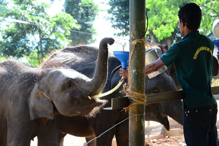 Round Up Sri Lanka: 10-Day Cultural and Adventure Tour from Colombo photo 6