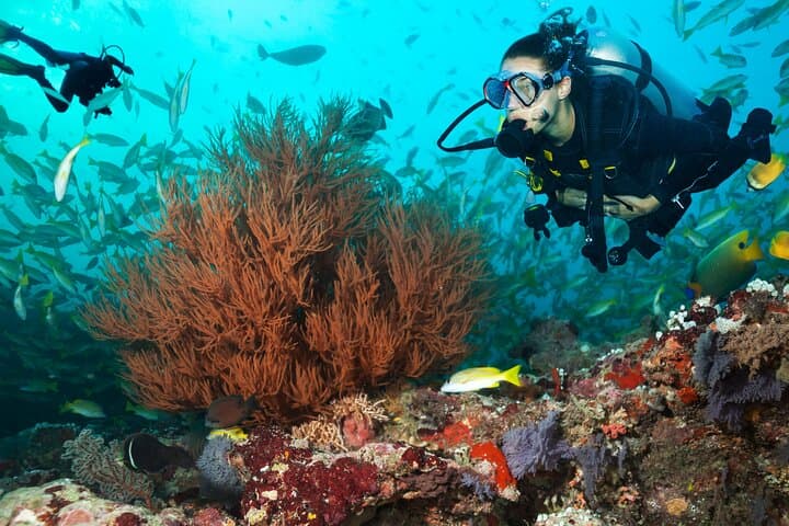 Kauai Boat Scuba for Non-Certified Divers: South Shore Two-Dive Experience