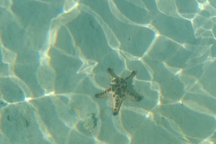 Balabac Seaplane Day Trip: Candaraman & Onok Island Snorkel Adventure photo 6