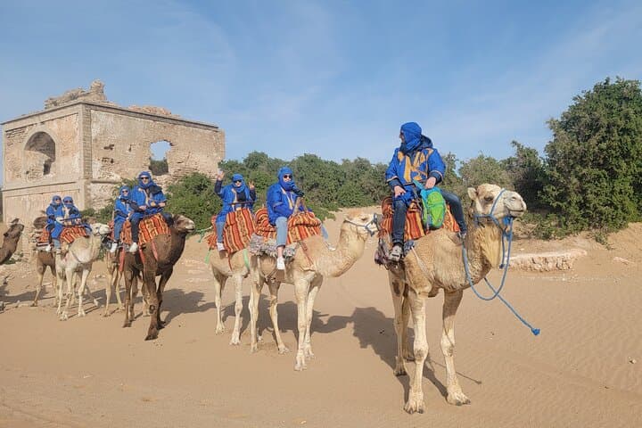 Essaouira 1-Hour Camel Ride on the Beach — Discovery Tour photo 3