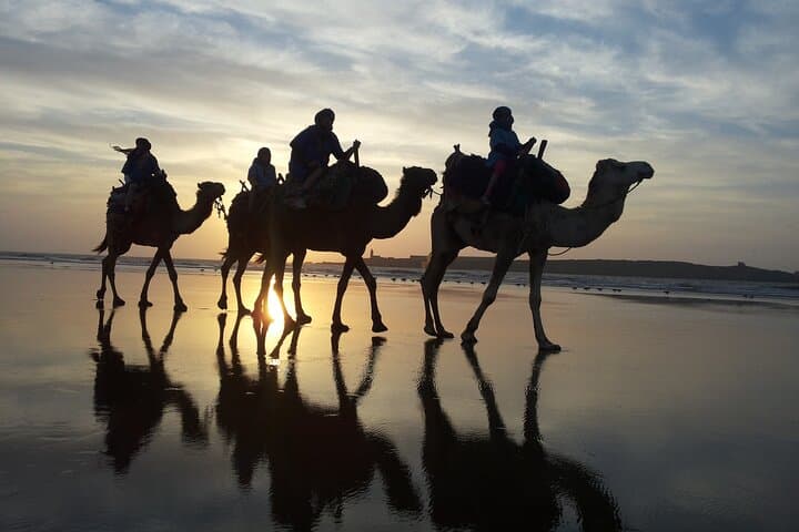 Sunset Camel Ride in Essaouira — 3-Hour Dunes, Beaches & Ruins photo 3