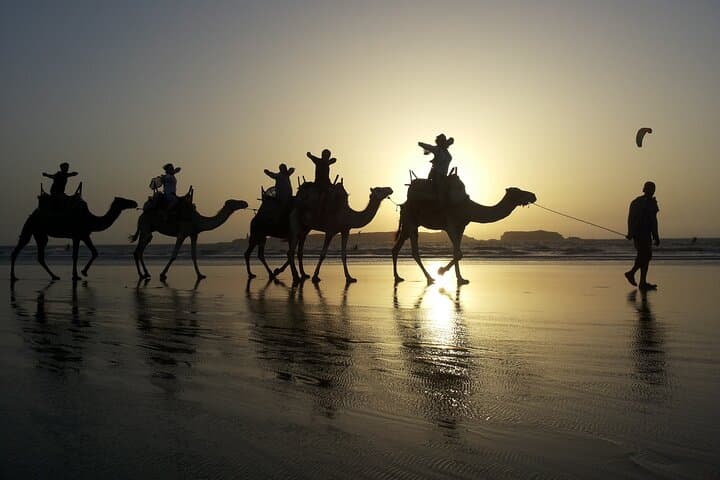 Sunset Camel Ride in Essaouira — 3-Hour Dunes, Beaches & Ruins photo 6