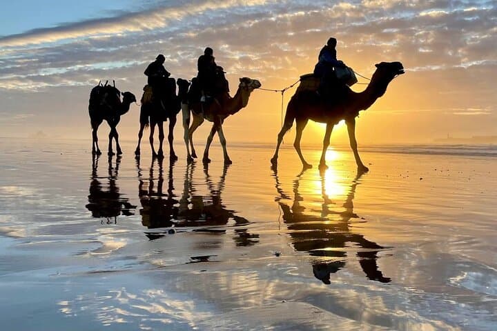 Sunset Camel Ride in Essaouira — 3-Hour Dunes, Beaches & Ruins photo 4