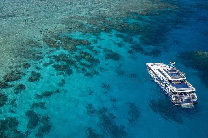 Great Barrier Reef Full-Day Snorkel and Dive Tour from Cairns photo 2