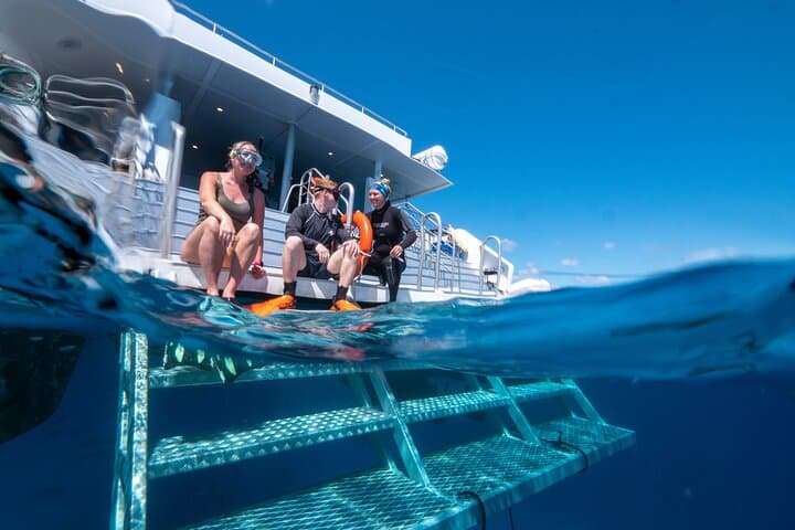 Great Barrier Reef Full-Day Snorkel and Dive Tour from Cairns photo 6