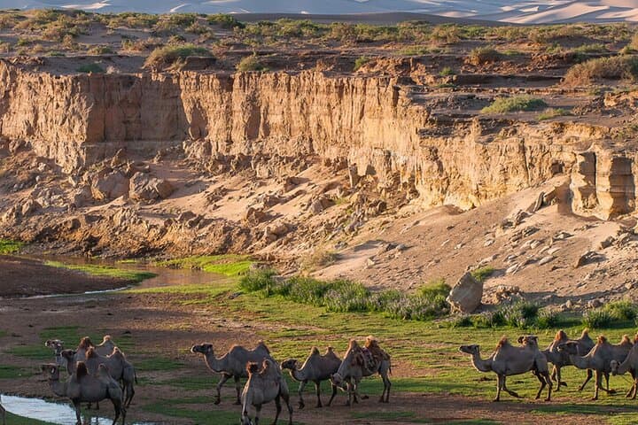 Mongolian Gobi to Terelj: 8‑Day Private Desert and Steppe Expedition photo 6