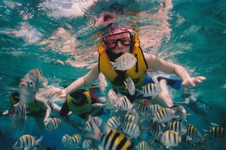 Cham Island Snorkeling Adventure from Hoi An: Coral Reefs, Beaches & Seafood photo 1