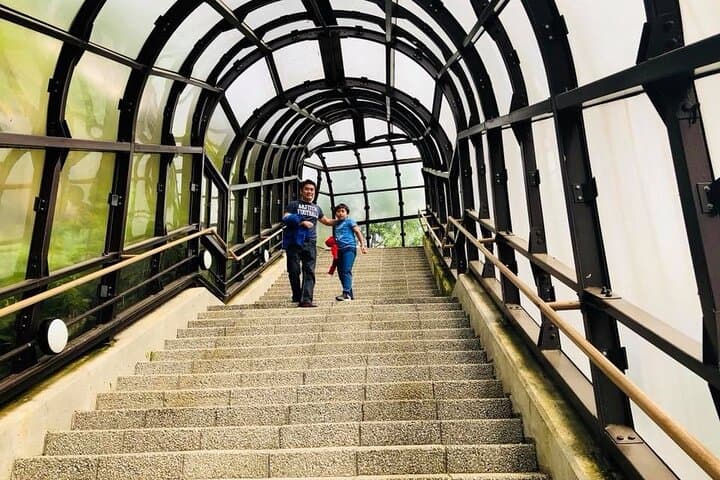 Hokkaido Day Tour — Asahiyama Zoo, Blue Pond & Furano's Forest Terrace photo 4
